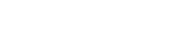 LedgerWave LedgerWave